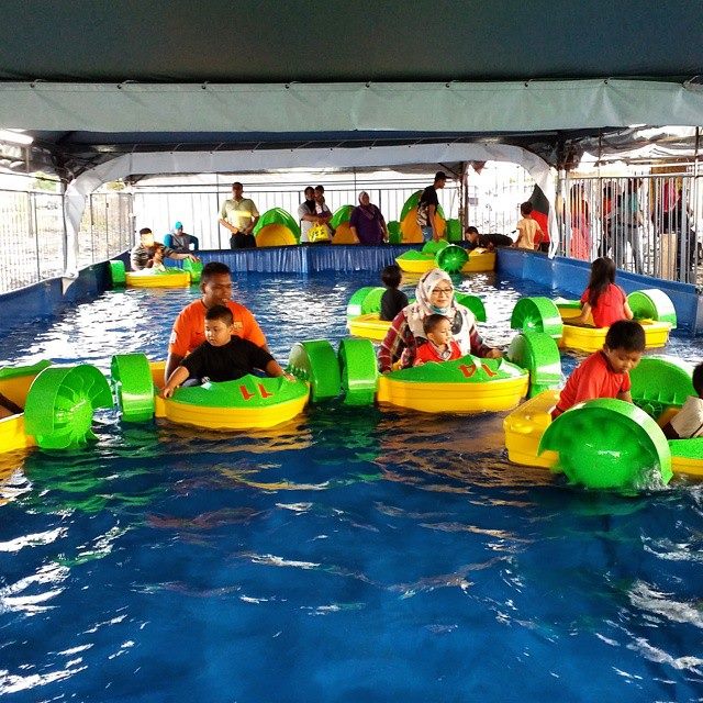 Adult Paddle Boat